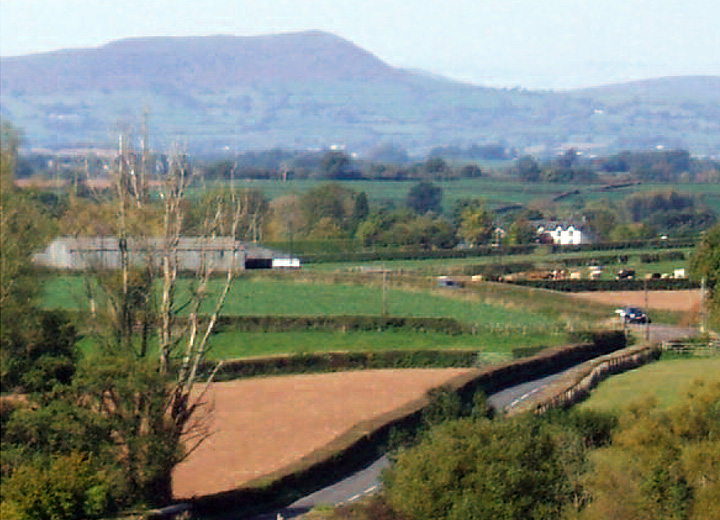 Raglan Local Walks